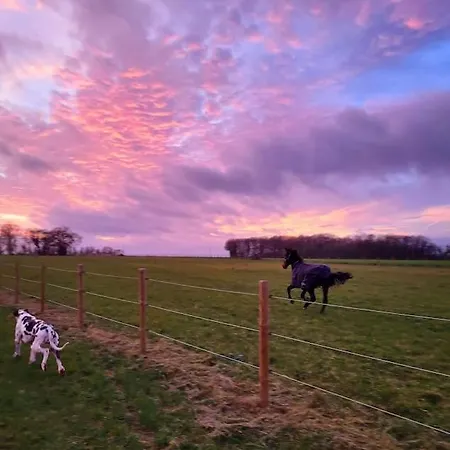Au Haras D'agathe Et Ses Princes * Les Barils