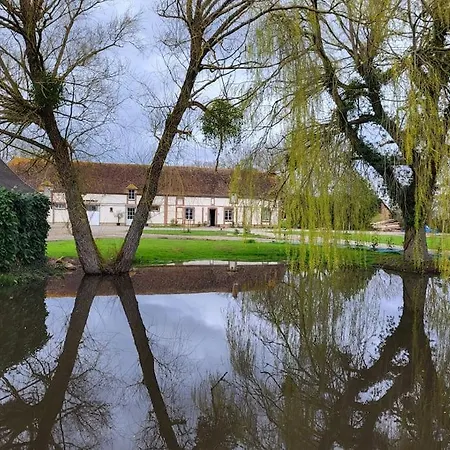 Au Haras D'agathe Et Ses Princes
