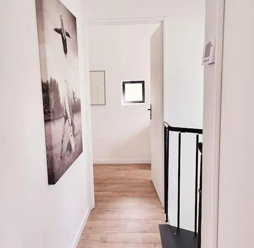 Au Haras D'agathe Et Ses Princes Les Barils