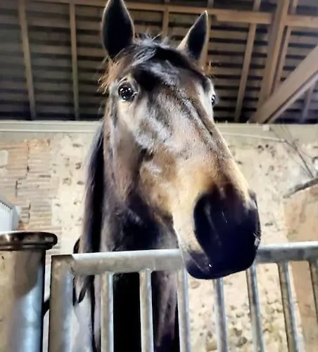 Au Haras D'agathe Et Ses Princes Holiday home *