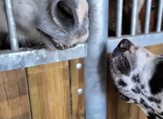 Holiday home Au Haras D'agathe Et Ses Princes Les Barils